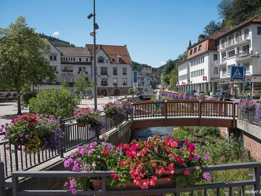 Blick auf das Flüsschen Alb und den Rathausplatz