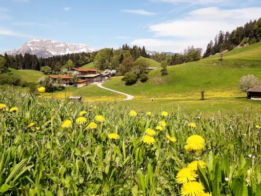 Malerische Umgebung in Brixlegg mit dem Kaisergebirge im Hintergrund