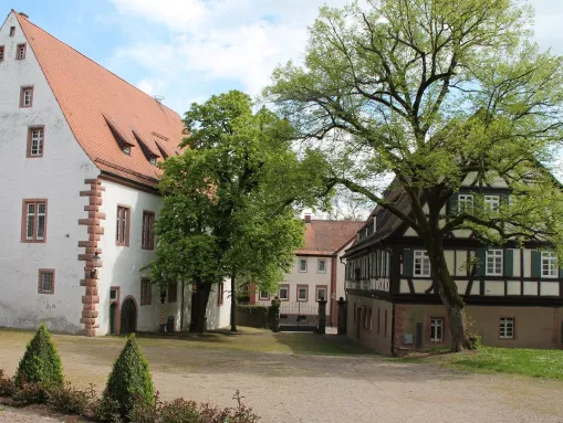 Bezirksmuseum Buchen