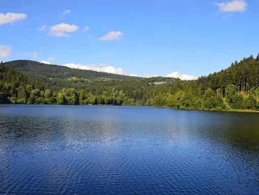 Albstausee bei St. Blasien im Südschwarzwald