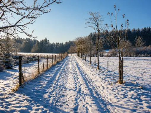 Winterwanderweg in Deggenhausertal