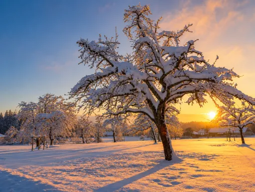 Traumhafter Wintersonnenuntergang in Deggenhausertal