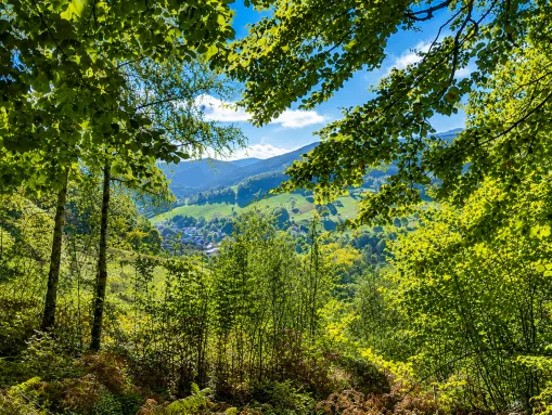 Talblick auf Elzach im Schwarzwald