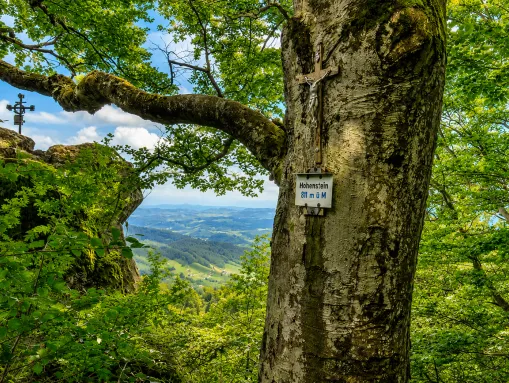 Aussichtspunkt Hohenstein (911 m) – Ausflugstipp für Gruppen in Elzach