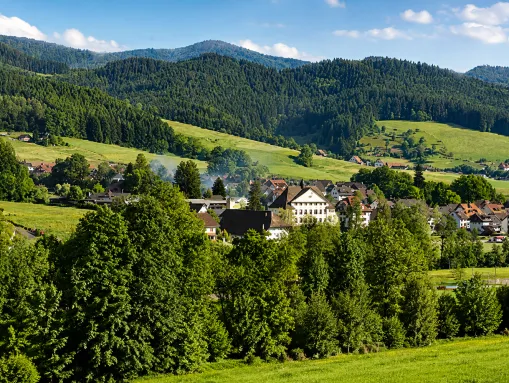 Ortsansicht Elzach-Prechtal im Schwarzwald