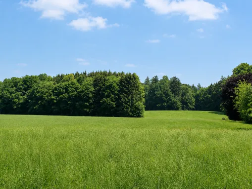 Naturnahes Ettenbeuren