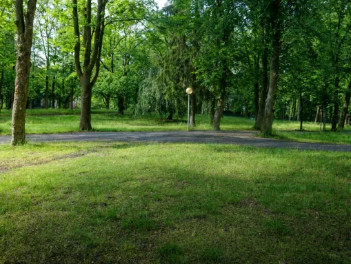 Der Goldberg - beliebtes Naherholungsgebiet direkt in Selb