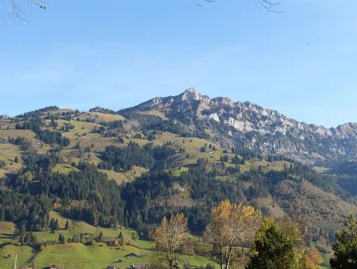 Das Gehrihorn (2130 Meter) – Der markante Hausberg von Frutigen