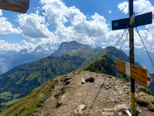 Blick vom Gehrihorn auf die verschneite Blüemlisalp