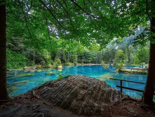 Der idyllische Naturpark Blausee direkt neben Frutigen