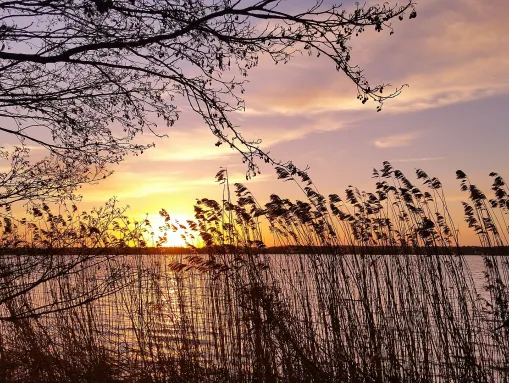 Dahlemer See bei Sonnenaufgang