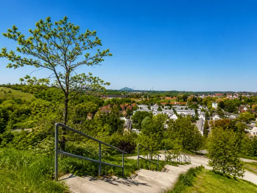 Blick auf Gelsenkirchen von der Halde Rungenberg