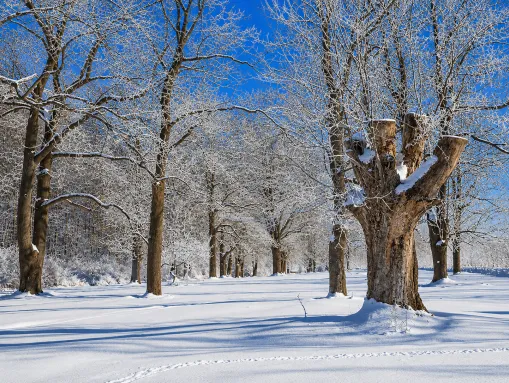 Winterwanderung bei Großlohra