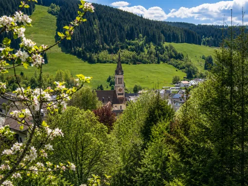 Die Ortschaft Hammereisenbach-Bregenbach im Schwarzwald