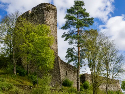 Burgruine Neufürstenberg (Neu-Fürstenberg) in Hammereisenbach