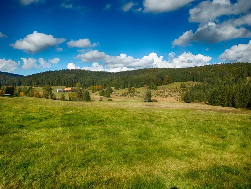 Das wunderschöne Naturschutzgebiet Kirchspielwald-Ibacher Moos bei Herrischried