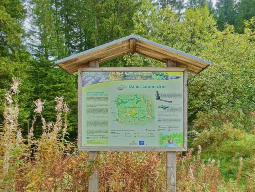 Bedeutsames Moorgebiet mit zahlreichen gefährdeten Tier- und Pflanzenarten