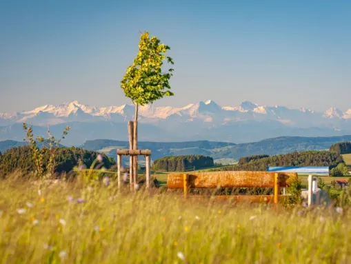 Herrischried mit Blick auf die Alpen