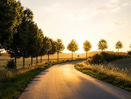 Allee bei Hilter im Sonnenuntergang