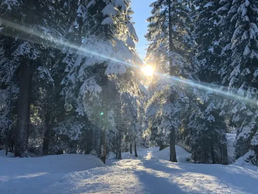 Winterwanderung von Hirschegg durchs Wäldele