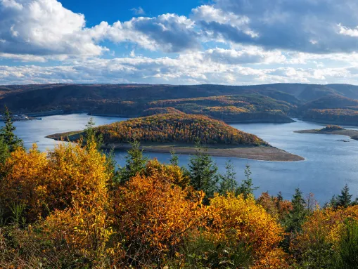 Das beeindruckende Panorama des Rursees im Nationalpark Eifel
