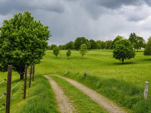 Feldweg in Kürten 