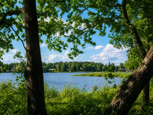 Langwedel in Holstein - direkt am Brahmsee gelegen