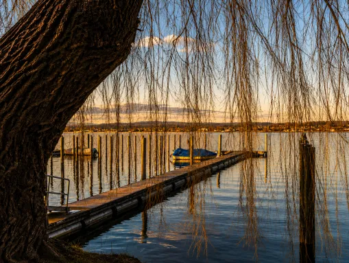 Idyllischer Steg der Badi Mannenbach (Badeplatz)