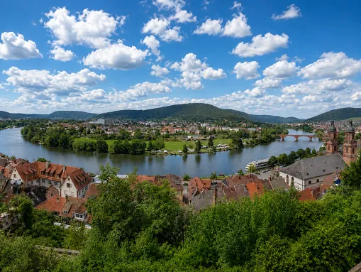 Die Mainschleife vor den roten Dächern der historischen Altstadt