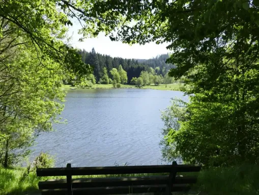 Blick auf den Marbach-Stausee