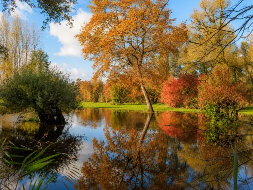 Naturschutzgebiet Sauer-Delta bei Munchhausen im Herbst