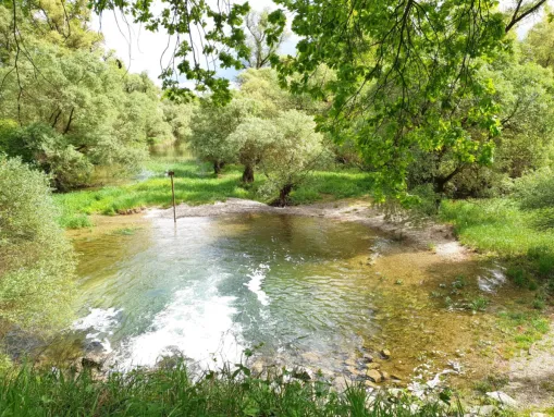 Rundweg "Mensch und Rhein" - spektakuläre Einblicke in eine naturbelassene Flusslandschaft