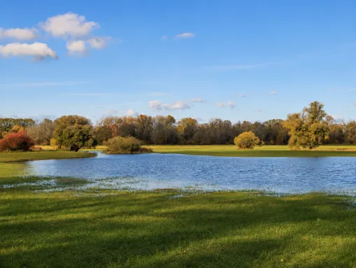 Rheinwiesen bei Munchhausen