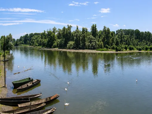Blick von der Brücke auf die Sauer