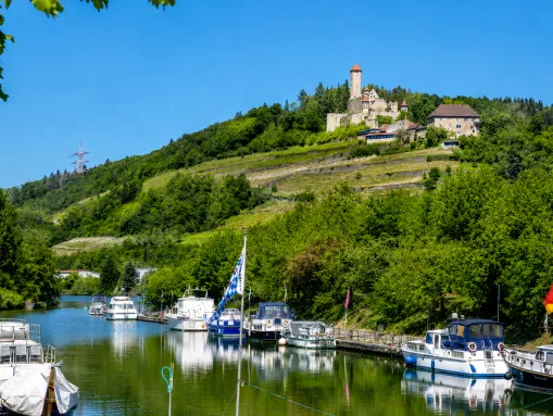 Bootsanleger am Neckar unterhalb der Burg Hornberg 