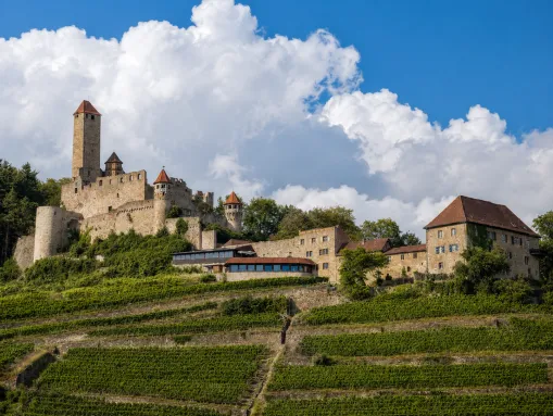 Die Burganlage Hornberg