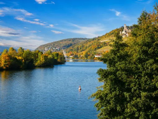 Blick auf Neckarzimmern, oben thronend die Burg Hornberg