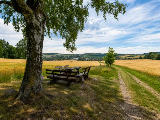 Gemeinsame Rastpause – Unterwegs auf den Wanderwegen rund um Neukirch