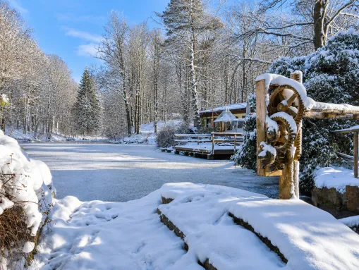 Winteridylle am gefrorenen Gondelteich der Buschmühle