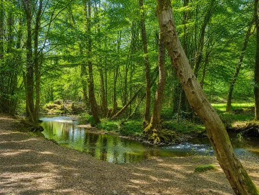 Wandern im Naafbachtal