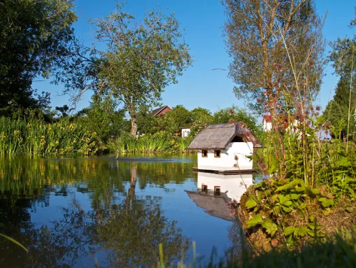 Weiher im Rosendorf Nöggenschwiel