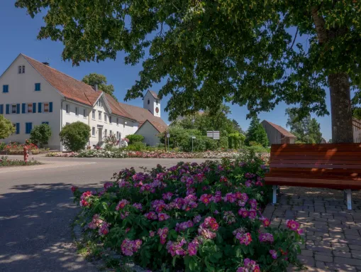 Schattiges Plätzchen unterm Lindenbaum