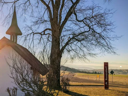 Abendstimmung in Nöggenschwiel