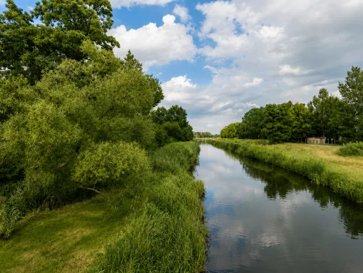 Der Fluss Schwarze Elster direkt bei Plessa