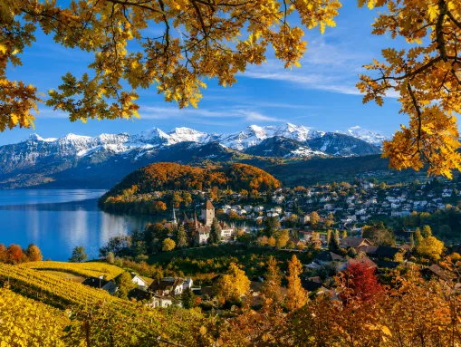 Einzigartiges Panorama über die Weinberge von Spiez am Thunersee