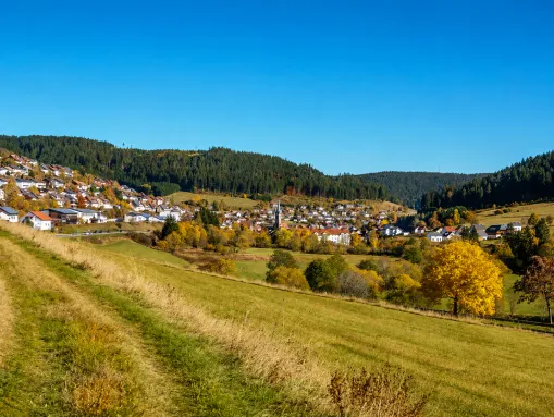 Vöhrenbach im Hochschwarzwald