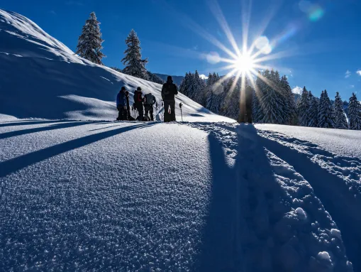 Winteridylle in Wildschönau