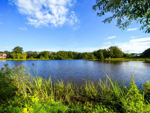 Der idyllische Bredstedter Mühlenteich (auch Mühlenweiher genannt)