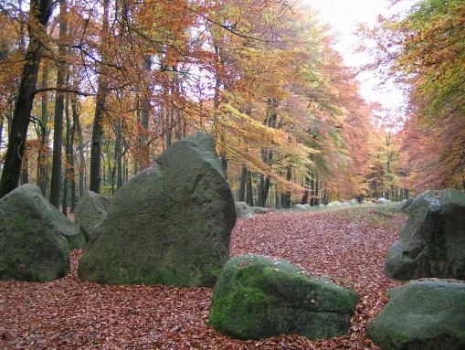 Großsteingrab Visbeker Bräutigam