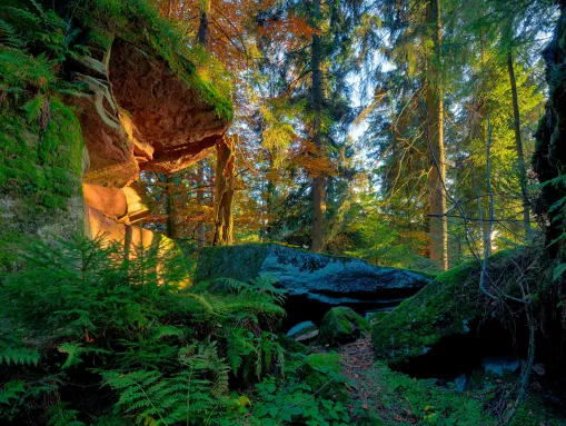 Heidenkirche - Sandstein-Felsenmeer mit Vergangenheit